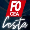 Logo of FO CEA CESTA android Application 